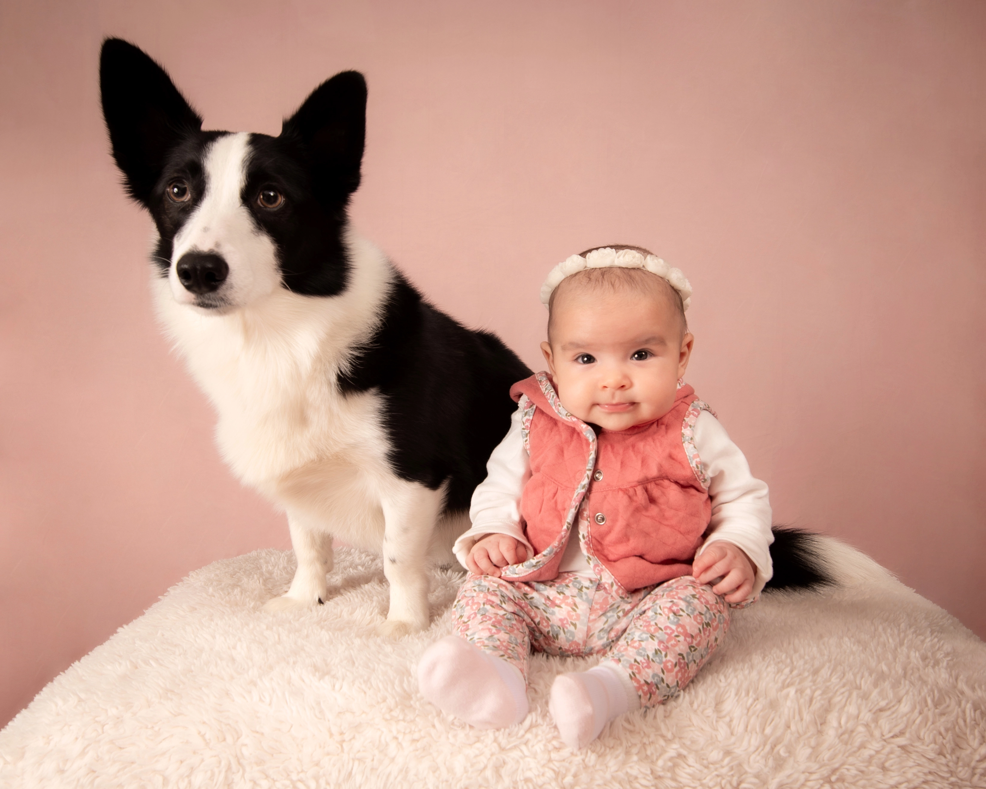 Smiling baby sitting beside black and white dog on soft blanket — cozy studio portrait in Edmonton